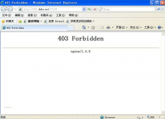 用IP代理后网页403禁止访问什么原因？