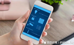 解析动态IP代理在手机中的用途