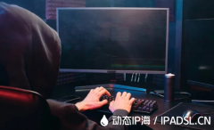 上网IP地址更改技巧