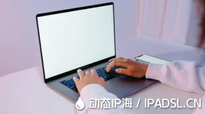 网络IP地址伪装变换方法