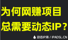 为何网赚项目总需要动态IP？