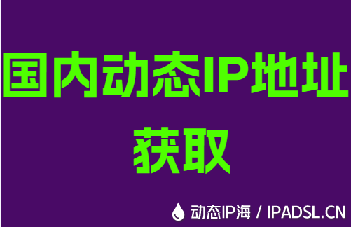 国内动态IP地址获取
