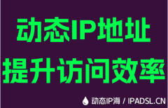 动态IP地址提升访问效率
