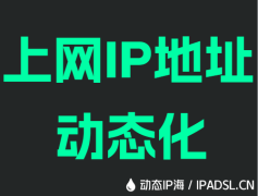 上网IP地址动态化