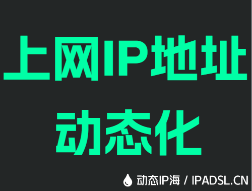 上网IP地址动态化