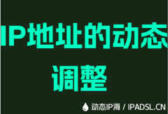 IP地址的动态调整