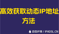 高效获取动态IP地址方法