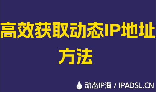 高效获取动态IP地址方法