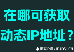 在哪可获取动态IP地址？