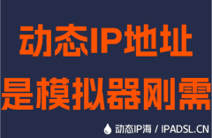 动态IP地址是模拟器刚需