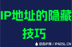 IP地址的隐藏技巧